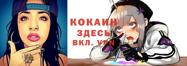 шишки Лиски