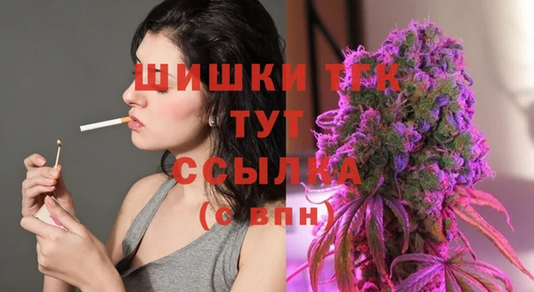 шишки Лиски