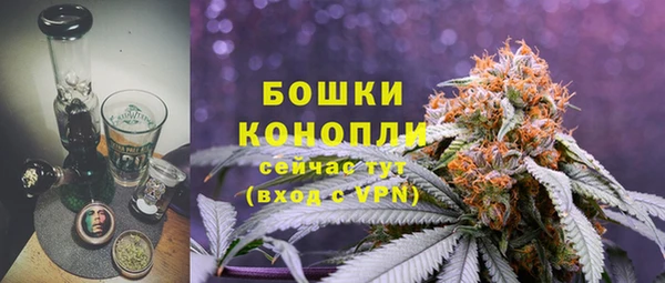 шишки Лиски