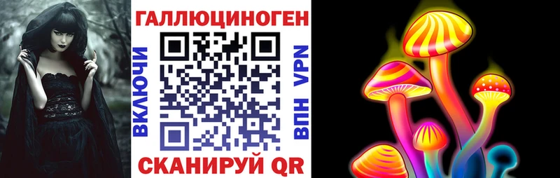 Псилоцибиновые грибы Cubensis  Купить закладки  Злынка 